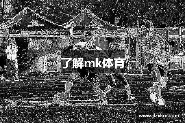 了解mk体育